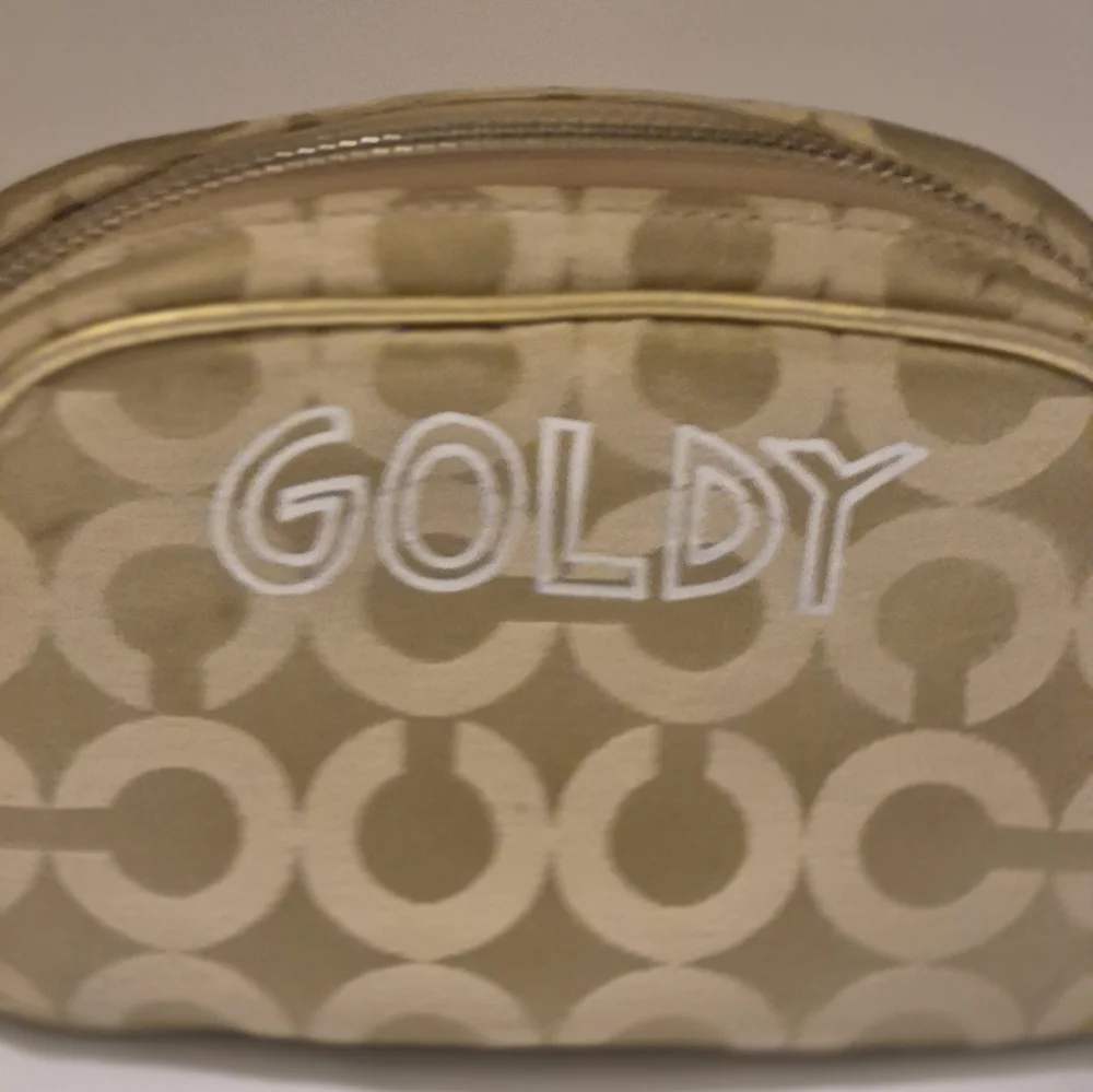 Coach Poppy Chan Goldy Cosmetic Pouch - Picture 3 of 6